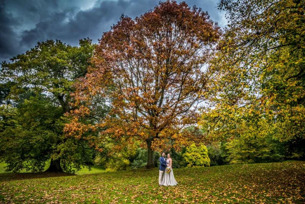 bride and groom in the woods at Cockington country park Devon