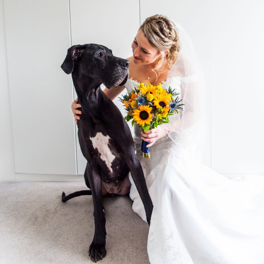 bride with her dog