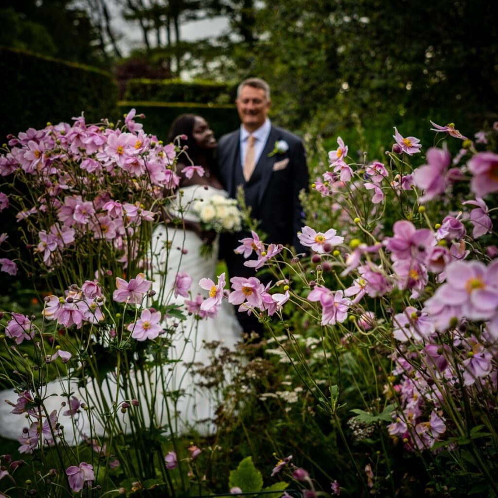 bride and groom shot through the flower bed