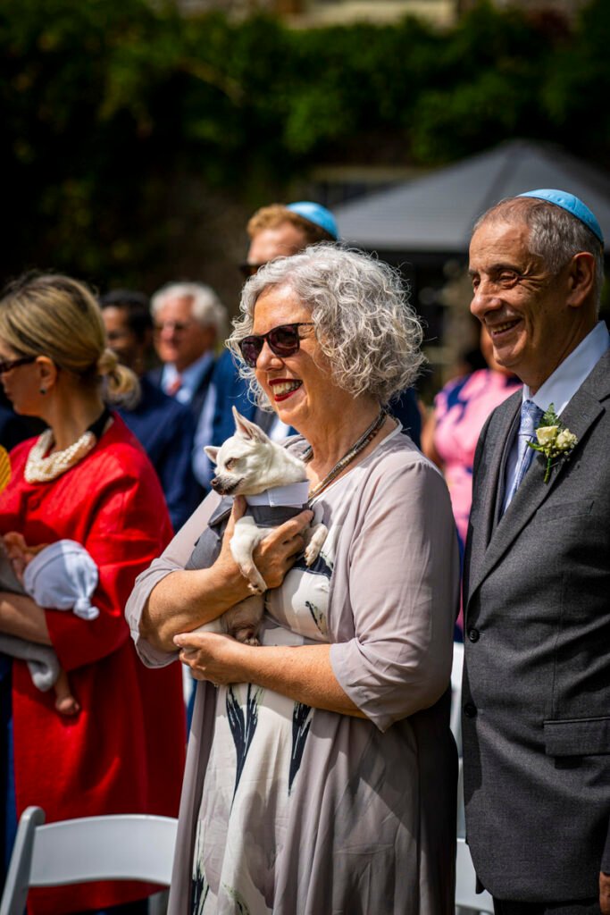 wedding guests and dog