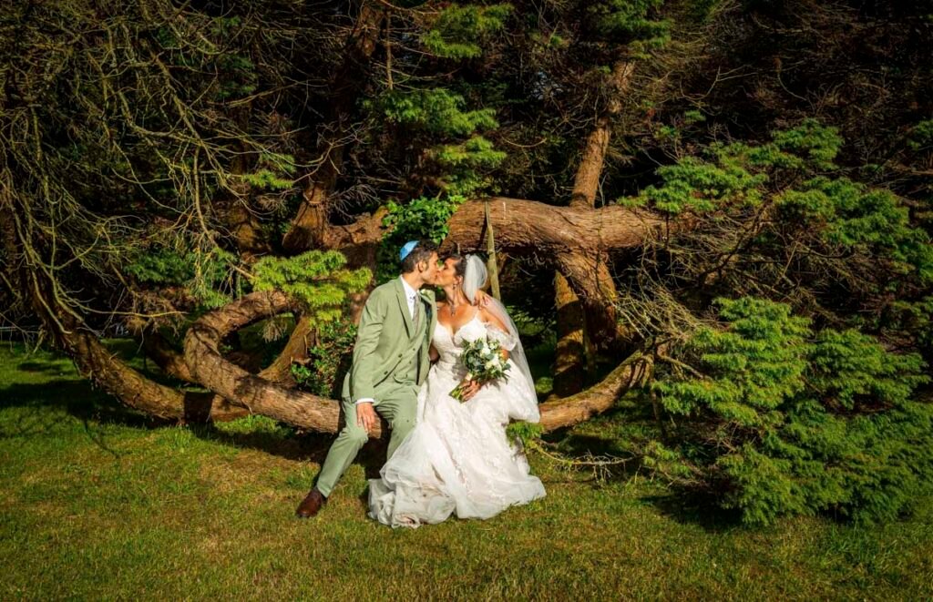 bride and Groom kissing seated on a branch