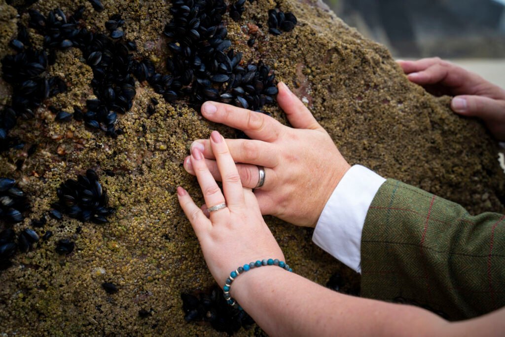 Wedding rings on a rock with mussels