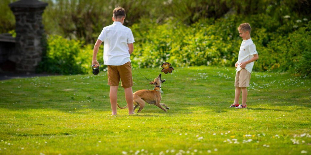 boys playing with a dog at a wedding