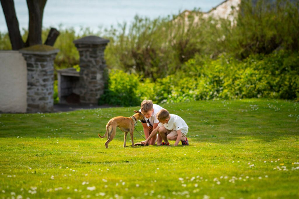 boys playing with a dog at a wedding