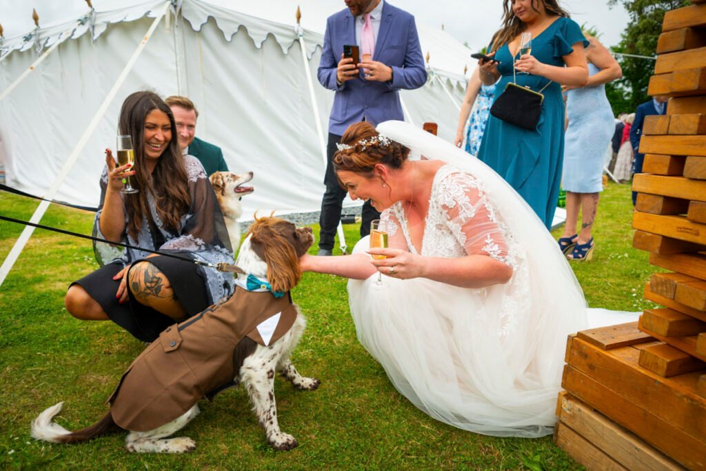 Bride and guests with her dogs