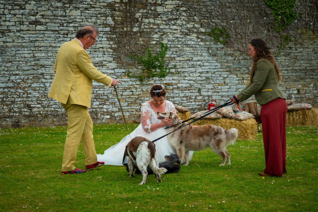 Bride with her dogs